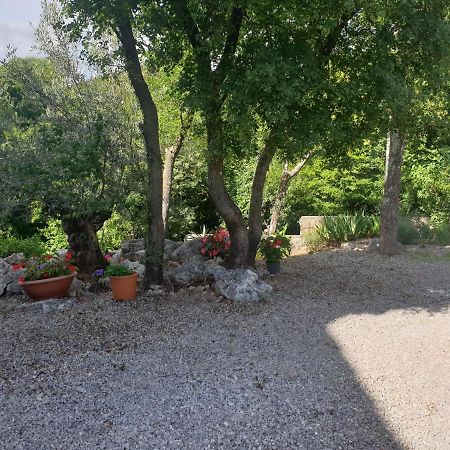 Apartmani Andrea Кралєвиця Екстер'єр фото